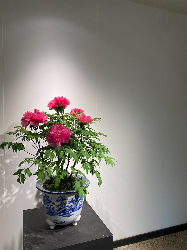 f:id:TO-DOnoitiniti:20221125082207j:image