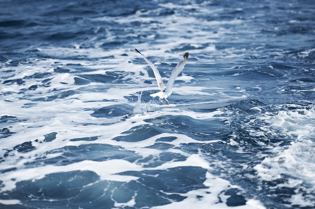 f:id:TODAWARA:20190905165616j:plain