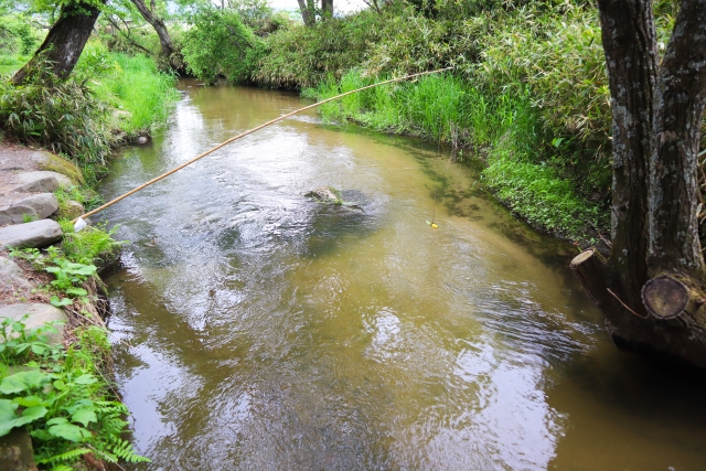 f:id:TODAWARA:20190907113405j:plain