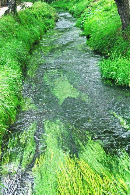 f:id:TODAWARA:20190907134551j:plain