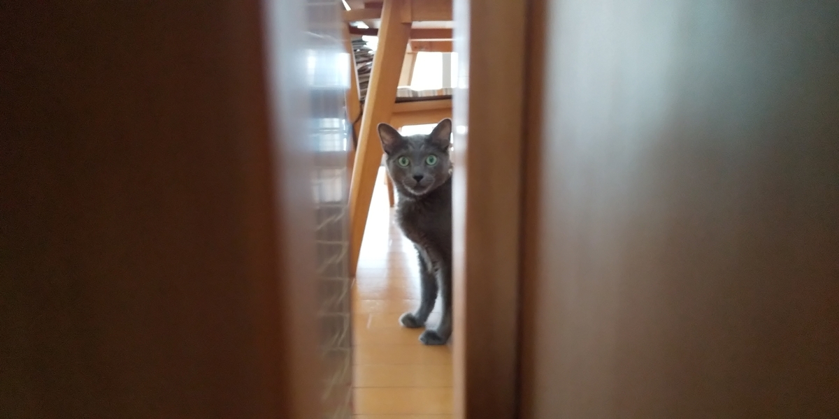 f:id:TODAWARA:20190927174628j:plain