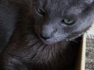 f:id:TODAWARA:20190927174915j:plain