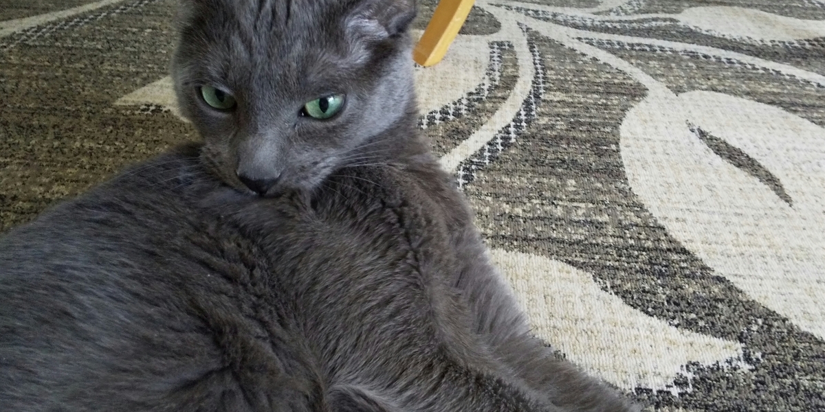 f:id:TODAWARA:20190927175218j:plain