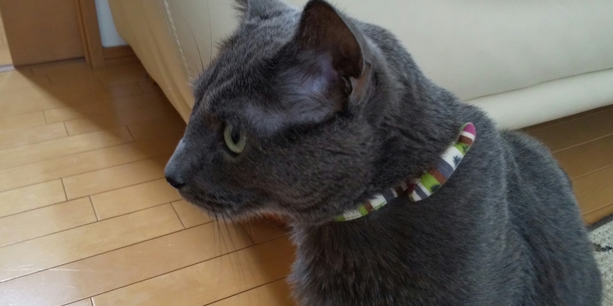 f:id:TODAWARA:20190927175732j:plain