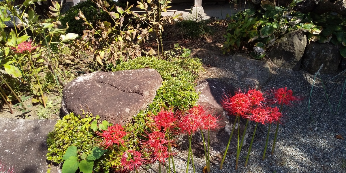 f:id:TODAWARA:20190930130225j:plain