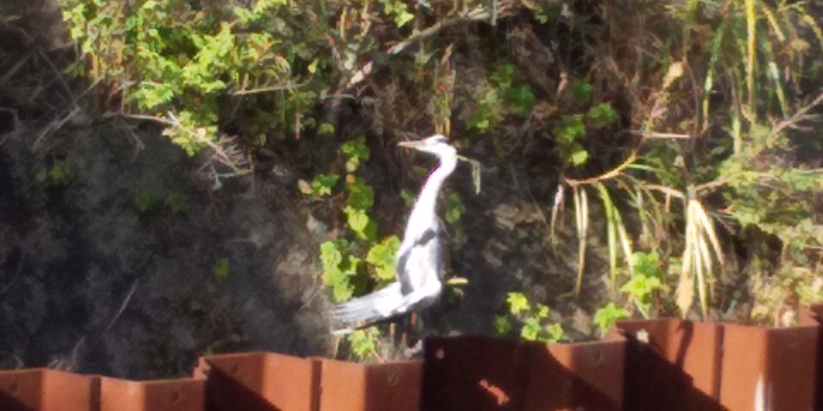 f:id:TODAWARA:20190930130430j:plain