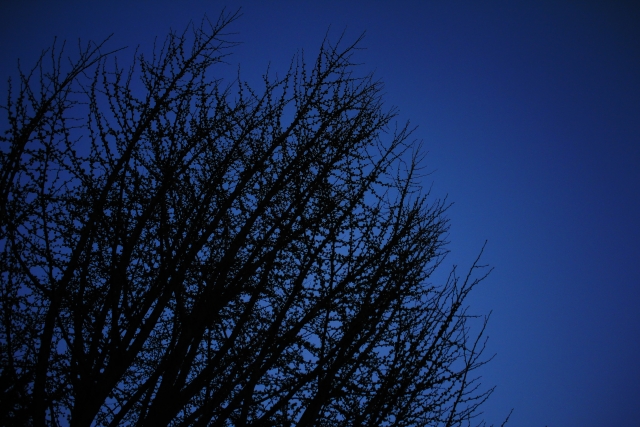 f:id:TODAWARA:20190930164853j:plain