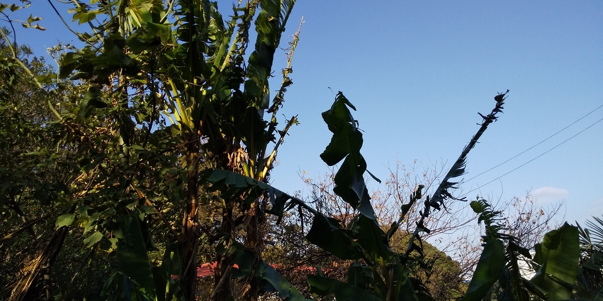 f:id:TODAWARA:20191112162524j:plain