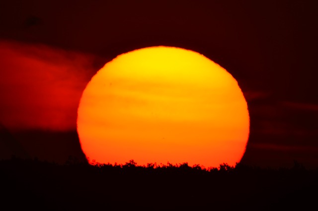 f:id:TODAWARA:20191114151809j:plain