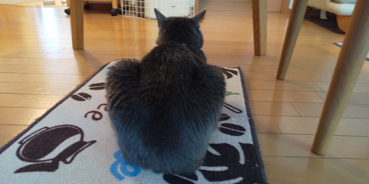 f:id:TODAWARA:20191221101744j:plain