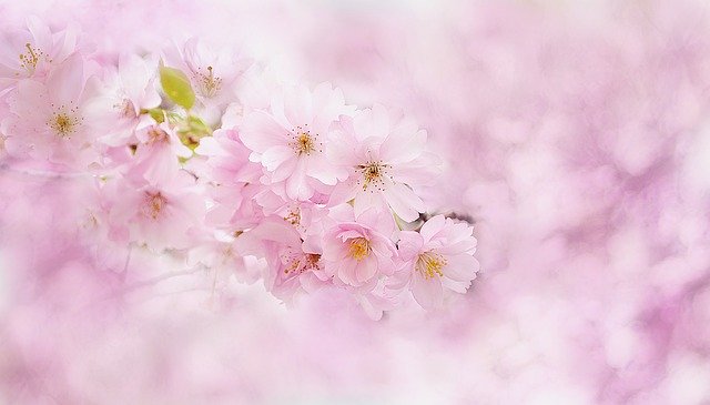 f:id:TODAWARA:20200118125248j:plain