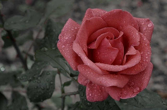 f:id:TODAWARA:20200131170454j:plain