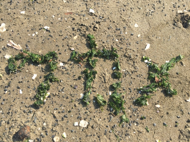 f:id:TODAWARA:20200224122727j:plain