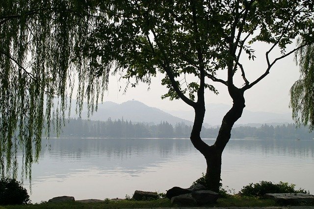 f:id:TODAWARA:20200304120711j:plain f:id:TODAWARA:20200304120711j:plain