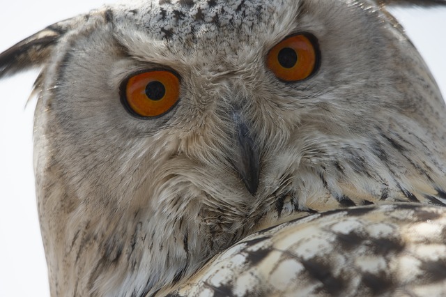 f:id:TODAWARA:20201019150547j:plain