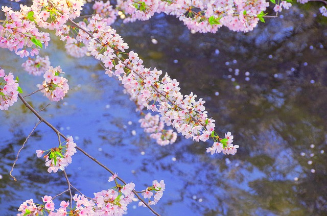 f:id:TODAWARA:20201022135442j:plain