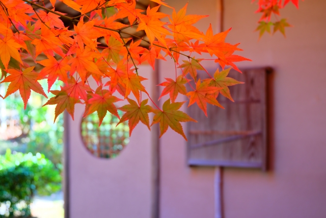 f:id:TODAWARA:20201022144837j:plain