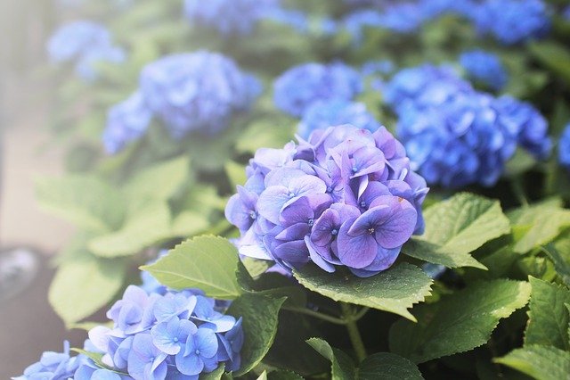 f:id:TODAWARA:20210104155029j:plain