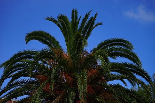 f:id:TODAWARA:20210127092148j:plain