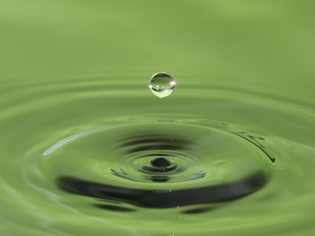 f:id:TODAWARA:20210705082424j:plain