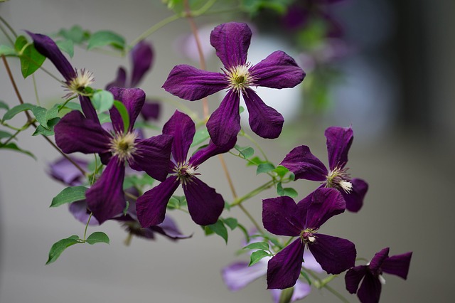f:id:TODAWARA:20210909115403j:plain