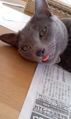 f:id:TODAWARA:20211130085433j:plain