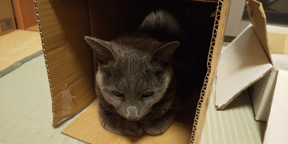 f:id:TODAWARA:20211130085646j:plain