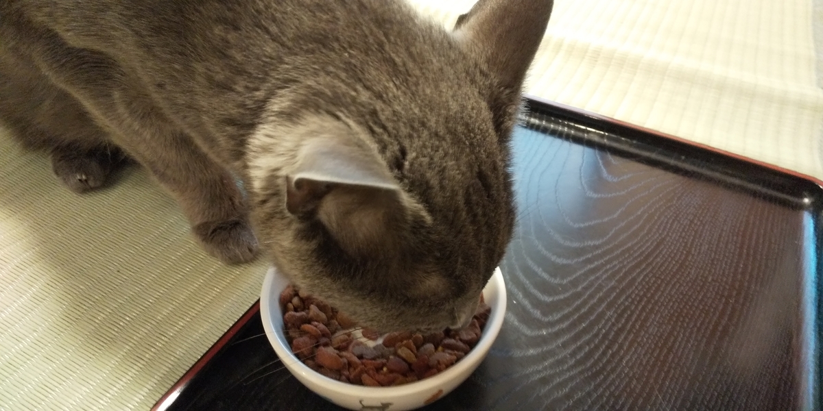 f:id:TODAWARA:20211130085812j:plain