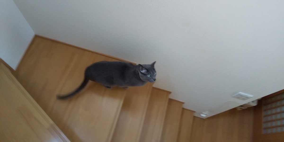 f:id:TODAWARA:20211130085939j:plain