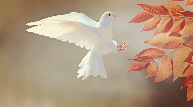 f:id:TODAWARA:20220323133305j:plain