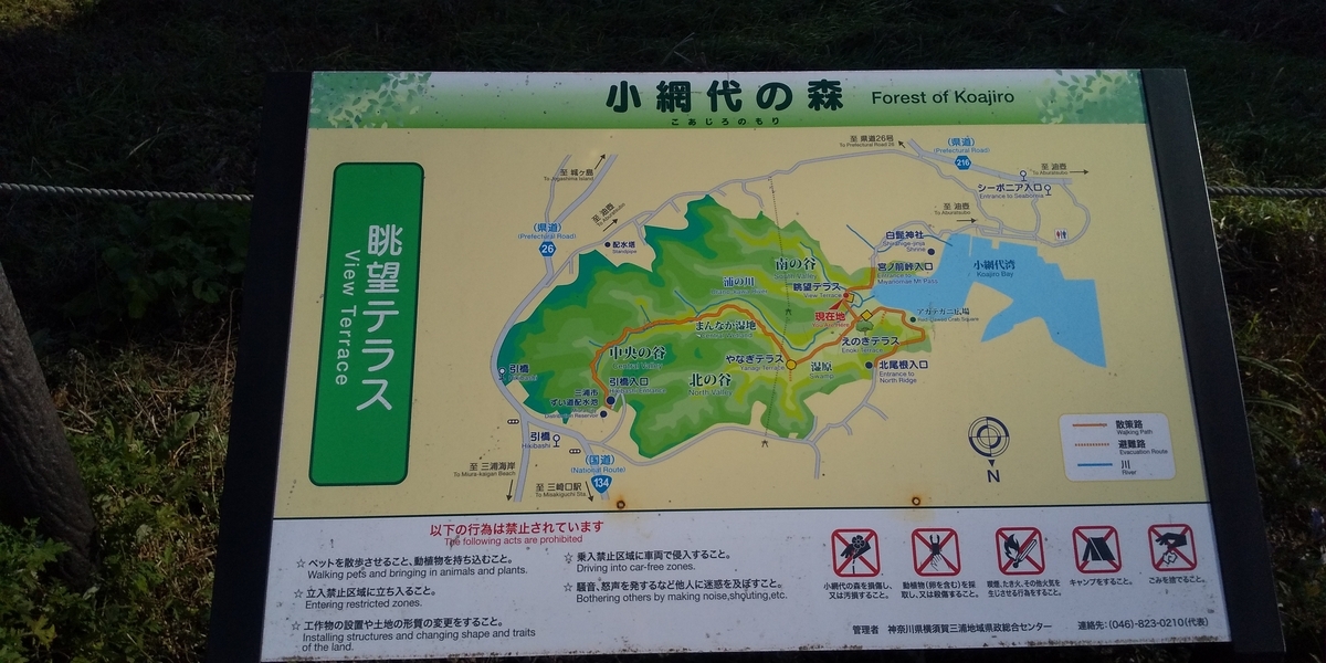 水彩画 小網代湾(三浦半島) 水彩画 小網代湾(三浦半島)