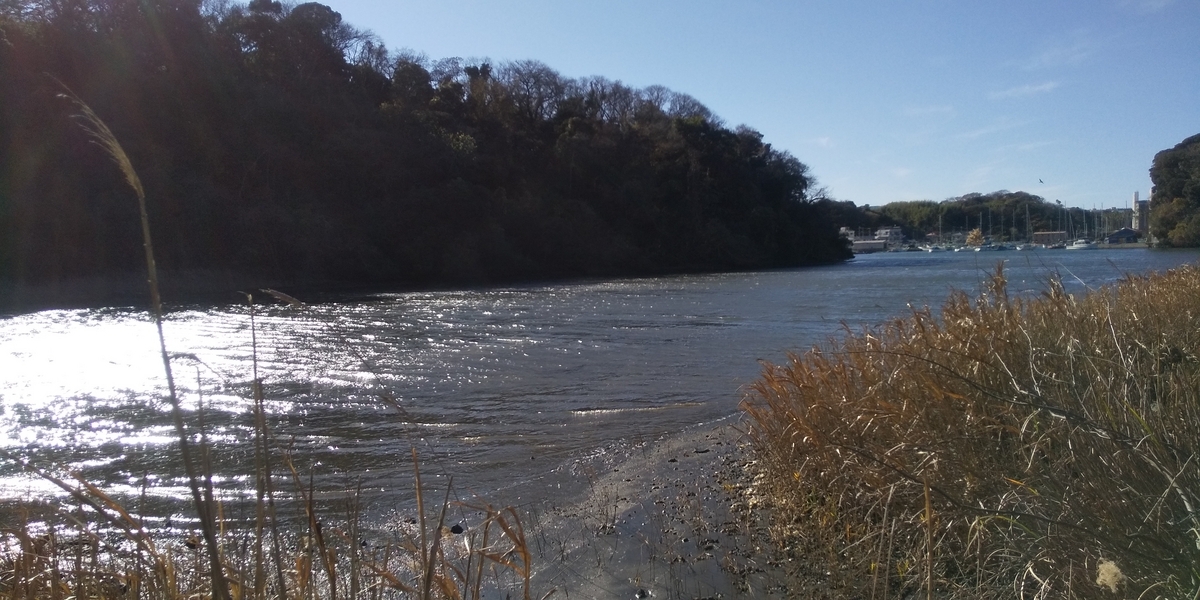 三浦半島の景勝地～初冬の「小網代の森」に行ってきました