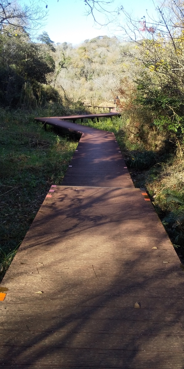 三浦半島の景勝地～初冬の「小網代の森」に行ってきました