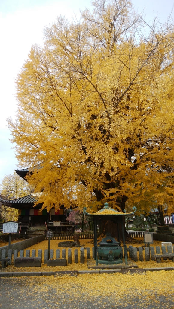 f:id:TOKYOOHSHO:20161127101537j:plain