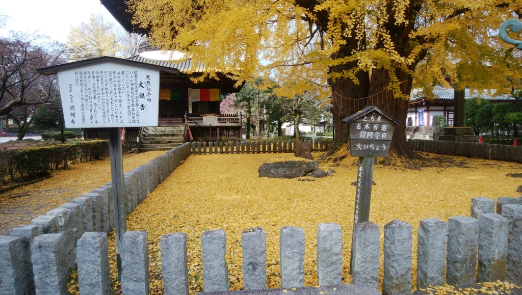 f:id:TOKYOOHSHO:20161127101553j:plain