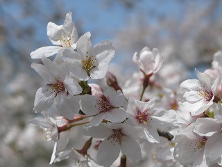 f:id:TOMASSOON:20100522222523j:image