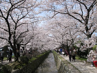 f:id:TOMASSOON:20100522222528j:image