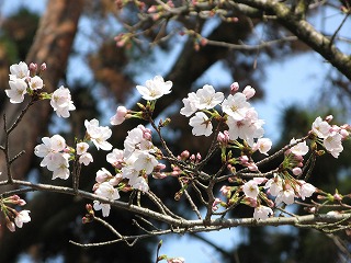 f:id:TOMASSOON:20100522223343j:image
