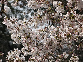 f:id:TOMASSOON:20100522223347j:image