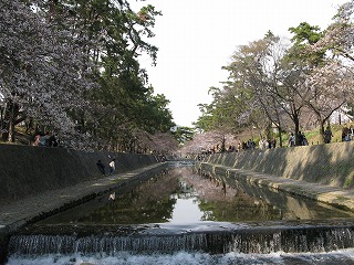 f:id:TOMASSOON:20100522223348j:image