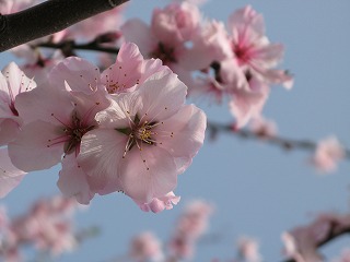 f:id:TOMASSOON:20100523091017j:image