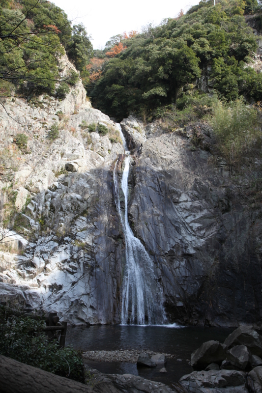 f:id:TOMASSOON:20101128101912j:image