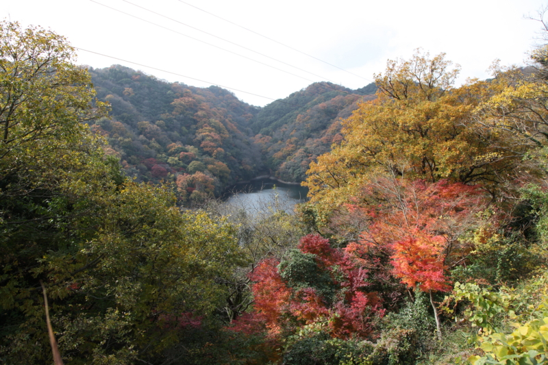 f:id:TOMASSOON:20101128112717j:image