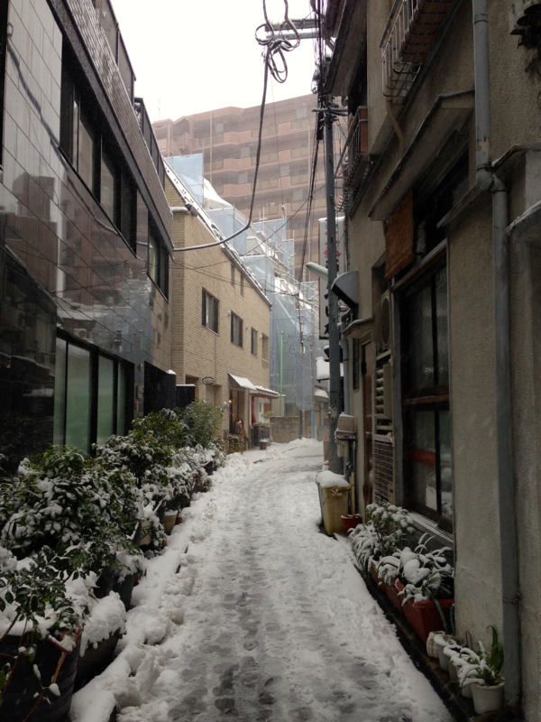 f:id:TOMASSOON:20140208121353j:image:w360