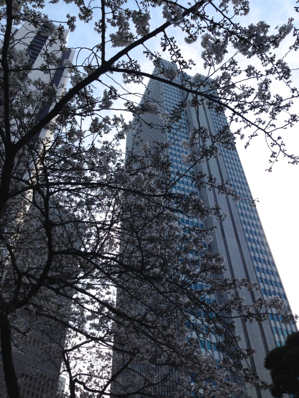 f:id:TOMASSOON:20140329143921j:image:w360 f:id:TOMASSOON:20140329143921j:image:w360