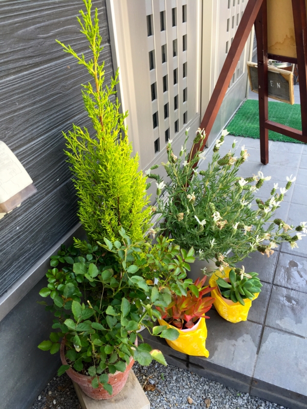 f:id:TOMASSOON:20150510105942j:image:w360