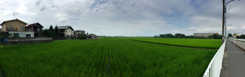 f:id:TOMASSOON:20160717130503j:image