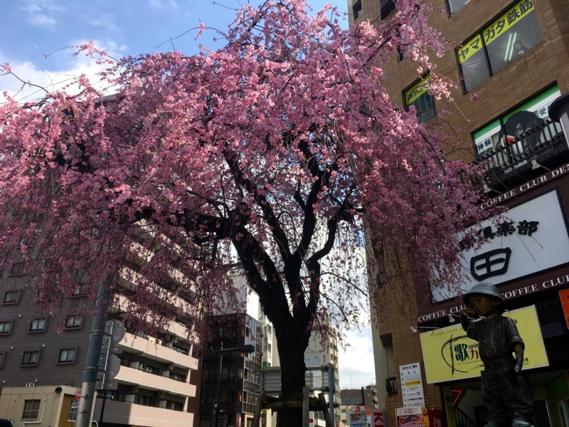 f:id:TOMASSOON:20180324105629j:plain f:id:TOMASSOON:20180324105629j:plain