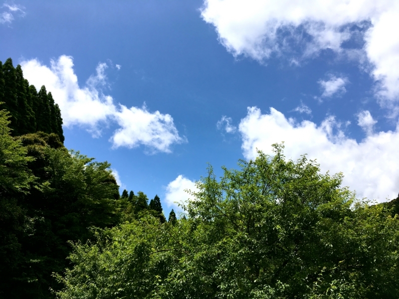 f:id:TOMASSOON:20180608114527j:plain f:id:TOMASSOON:20180608114527j:plain