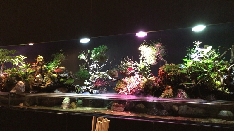 f:id:TOMASSOON:20190529191428j:plain f:id:TOMASSOON:20190529191428j:plain